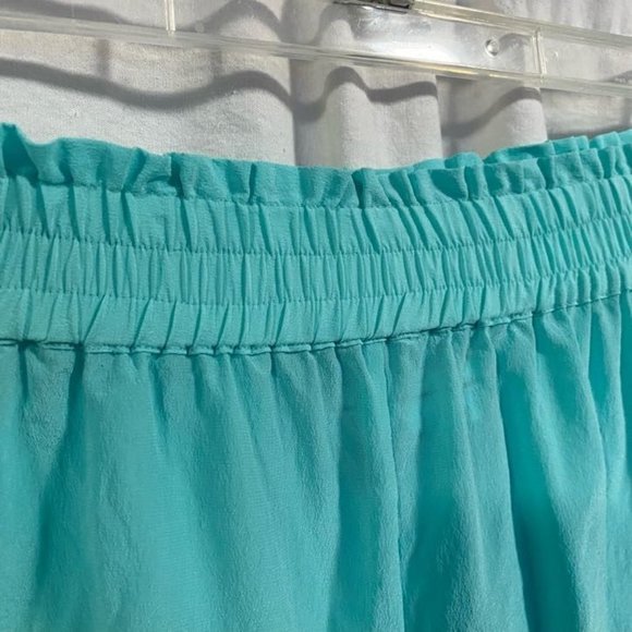 Diane Gilman Collection Blue Silk Pull-On Pants Size M‎ - Picture 2 of 7